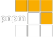 PNPM Logo